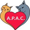 Logo of the association Association de Protection Animale Castelviroise